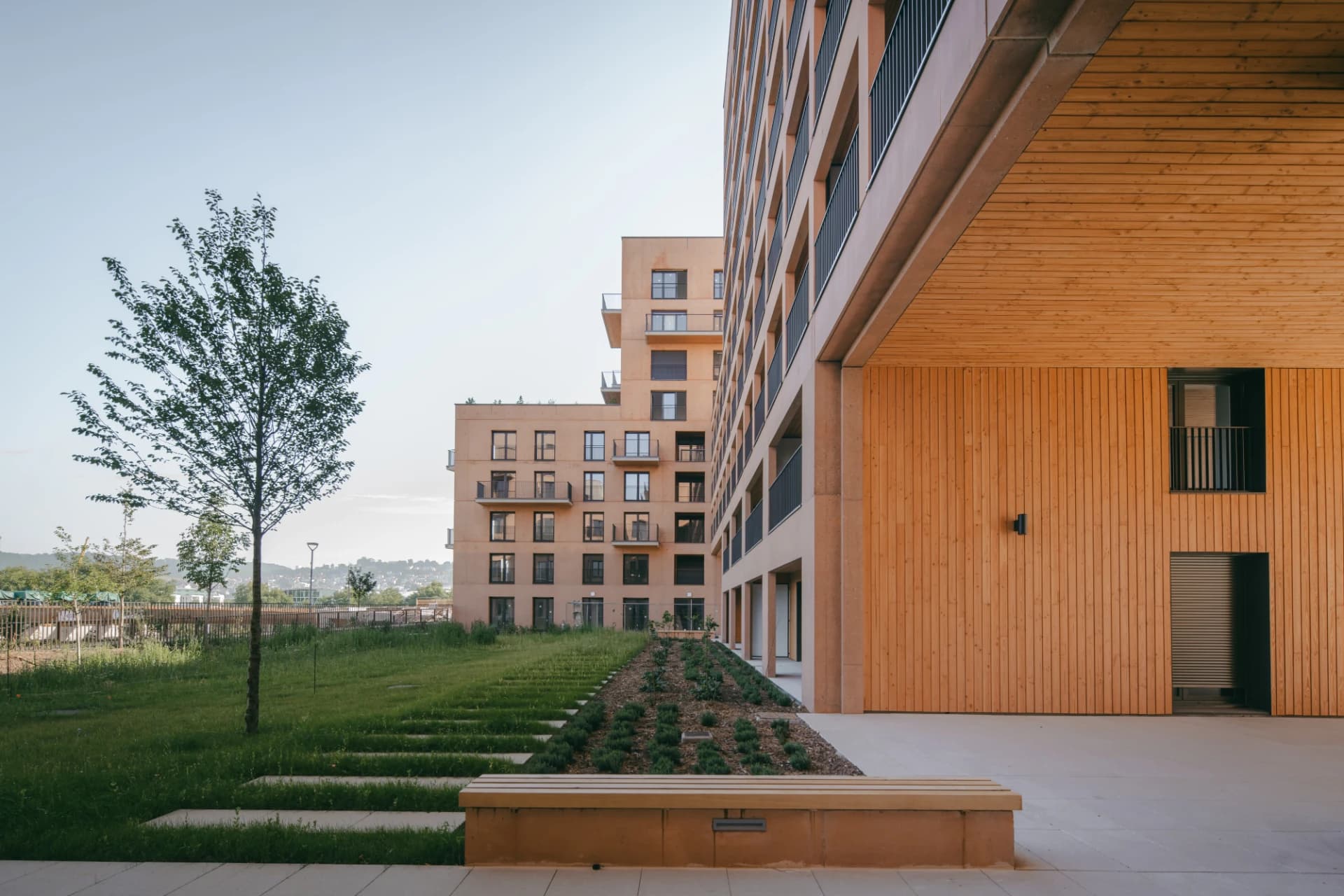 Vue d'un complexe résidentiel moderne aux façades beige-clair et aux accents de bois, avec des balcons sombres, entourant une pelouse verte aménagée et un jeune arbre. Un banc en bois est visible au premier plan, sur un sol pavé gris clair, sous un ciel pâle.