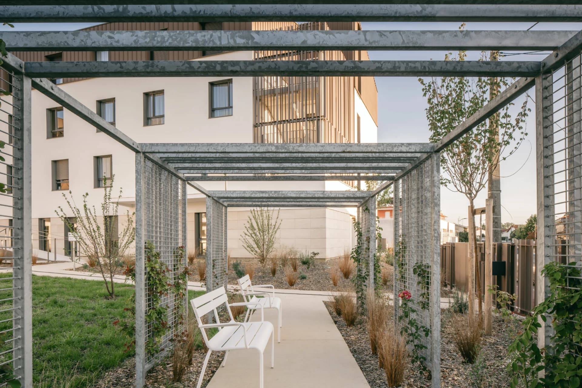 A modern outdoor seating area featuring a galvanized metal grid pergola over a concrete path, flanked by white benches, green grass, and dry ornamental plants, with a contemporary white and brown building in the background.