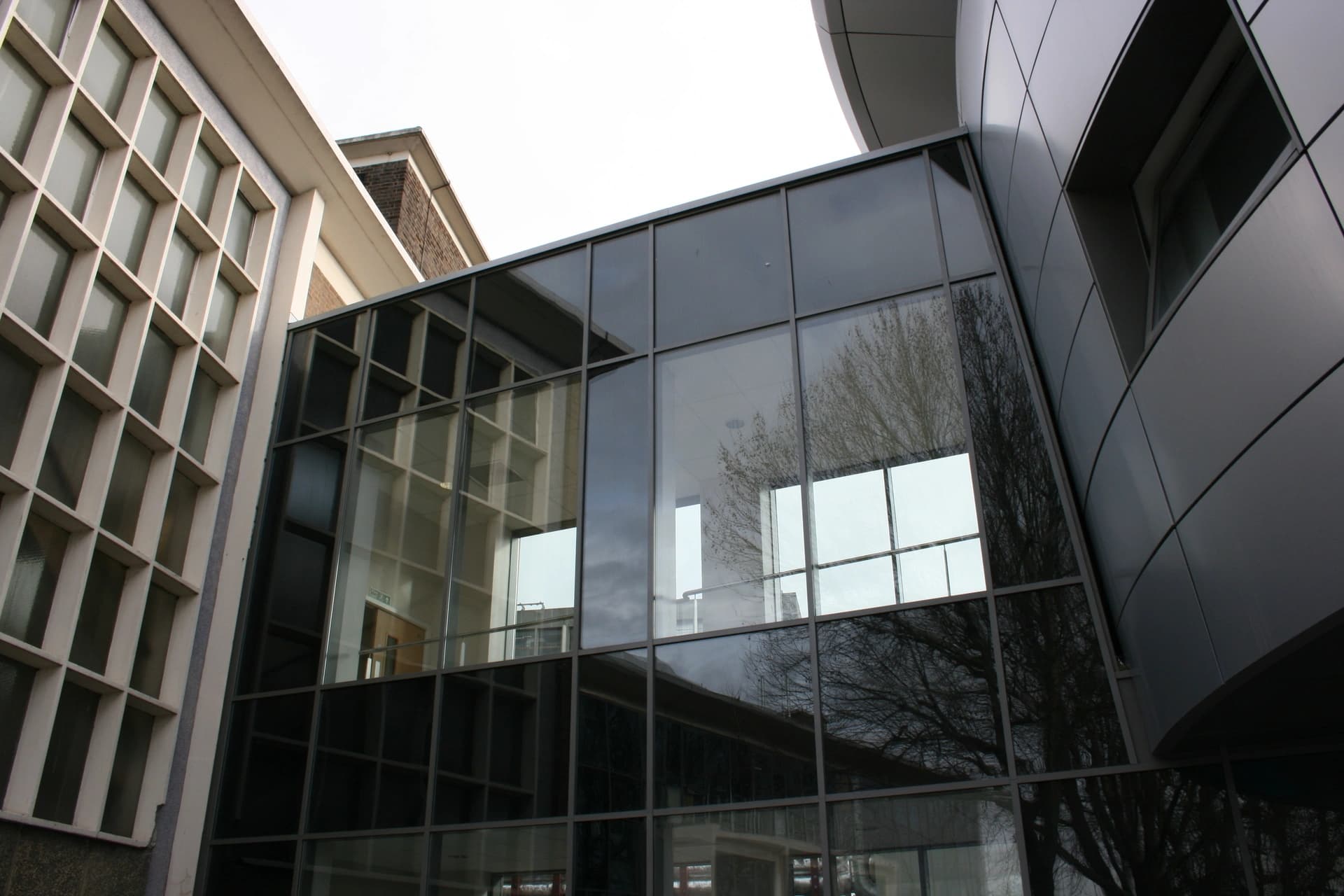 Architecture moderne avec de grandes baies vitrées reflétant un arbre et une façade en béton quadrillée.