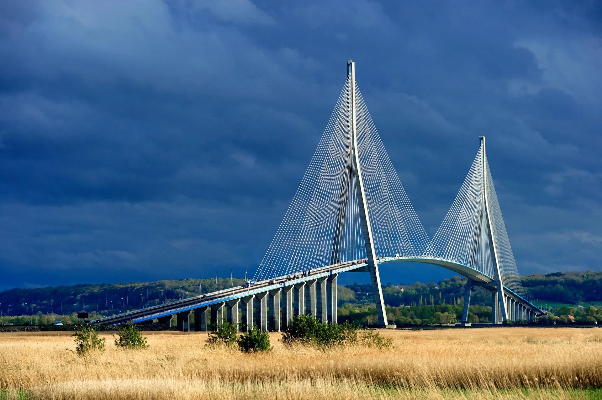 Un majestueux pont à haubans avec deux pylônes blancs et de nombreux câbles porte une chaussée où circulent des véhicules, traversant un champ d'herbes dorées sous un ciel bleu foncé et nuageux, bordé de collines verdoyantes.