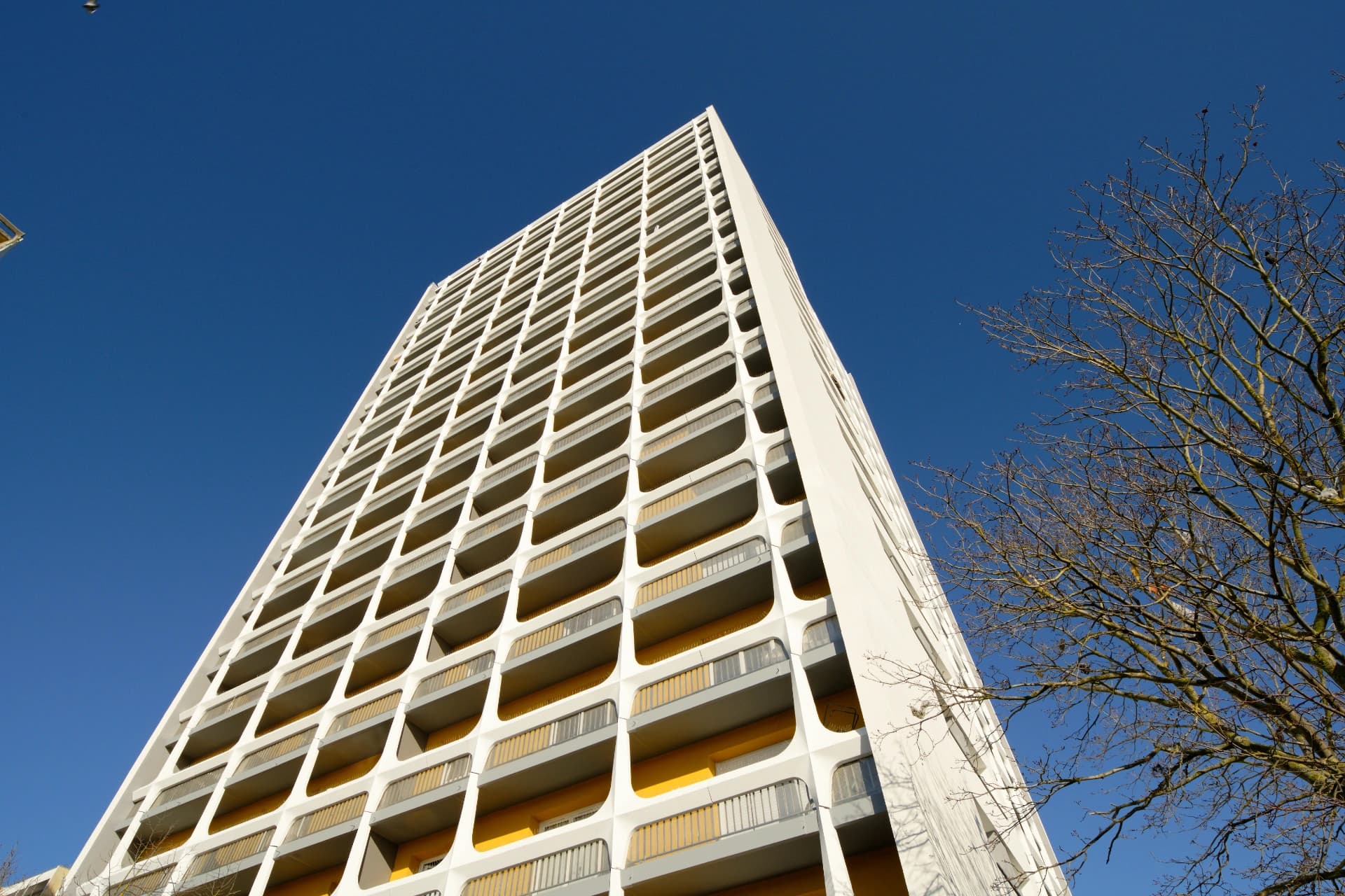 Un grand immeuble résidentiel blanc avec une façade en grille aux balcons jaunes et garde-corps gris, photographié en contre-plongée sous un ciel bleu clair, avec des branches d'arbre nues à droite.