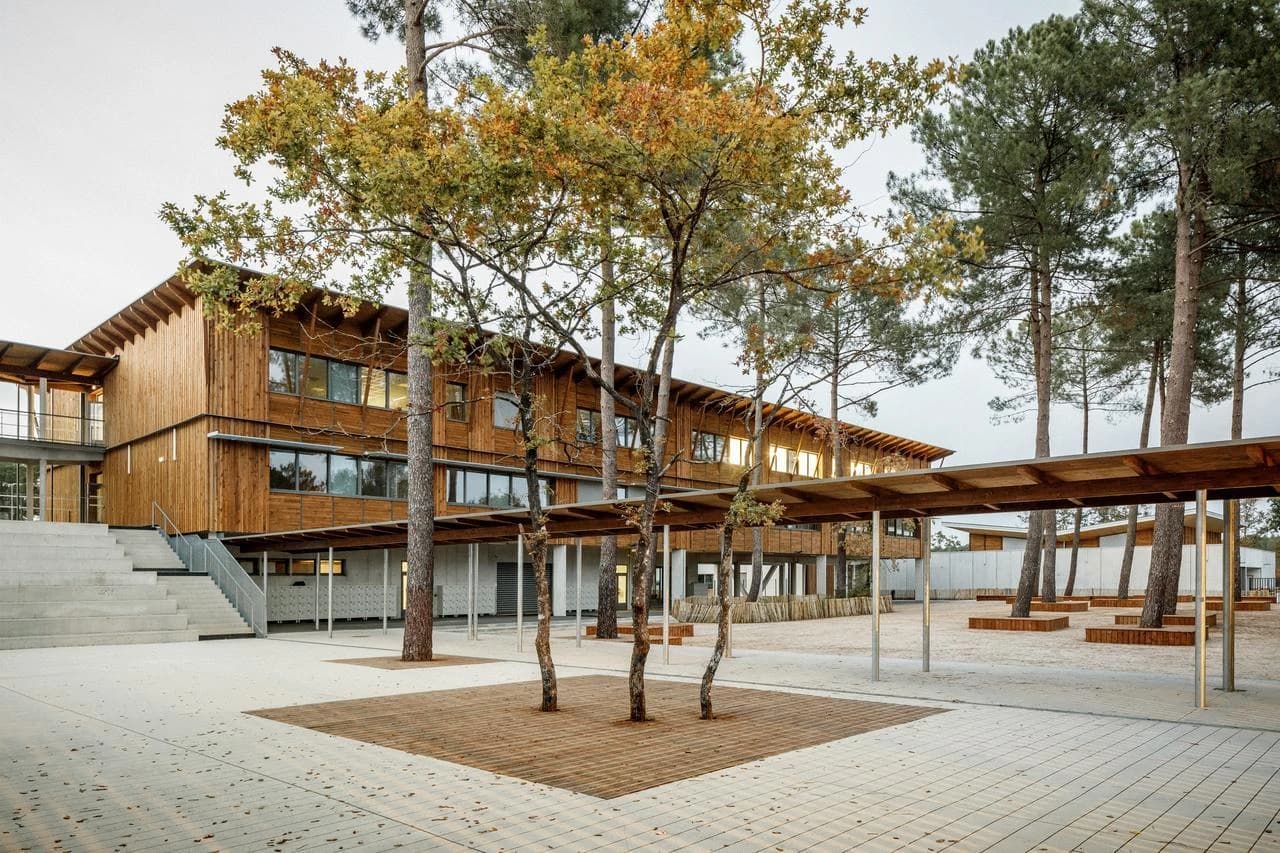 Un bâtiment moderne de plusieurs étages avec des façades en bois clair et de grandes fenêtres donne sur une vaste cour pavée. La cour est agrémentée de jeunes arbres aux feuilles automnales, d'une longue passerelle couverte et est bordée de grands pins.