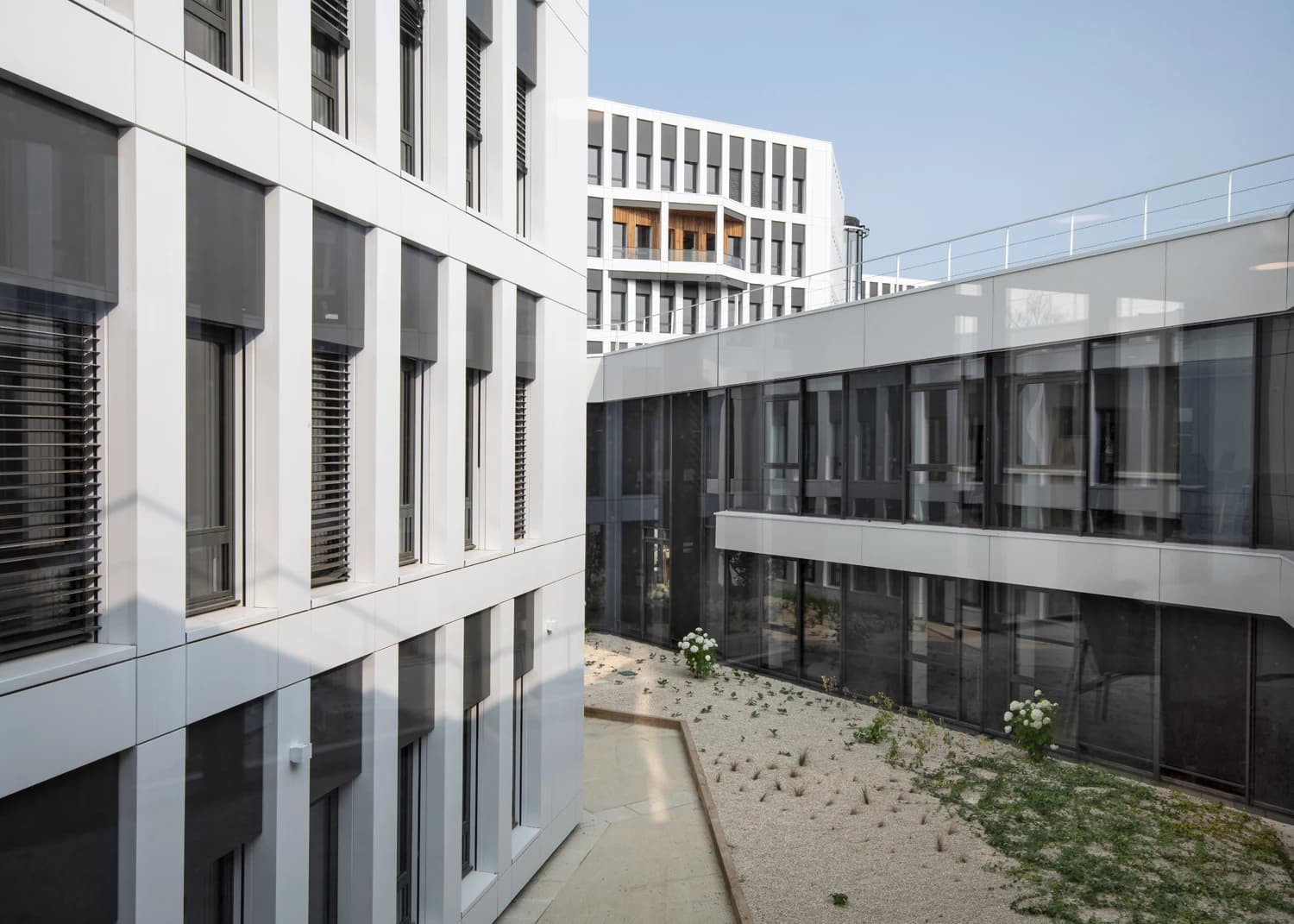 Façades modernes de bâtiments blancs et gris avec de grandes fenêtres sombres et des stores extérieurs, encadrant une cour minimaliste de gravier clair avec quelques plantes et fleurs. Un bâtiment en arrière-plan présente des balcons en bois contrastants.
