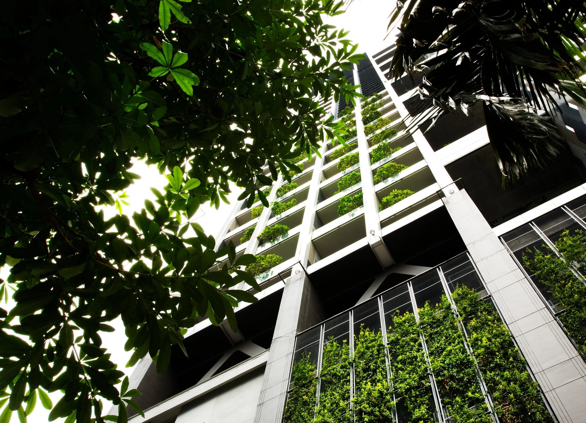 Un immeuble moderne avec des balcons remplis de plantes vertes et un mur végétal est vu d'en bas, encadré par des feuilles d'arbres sombres sous un ciel clair.
