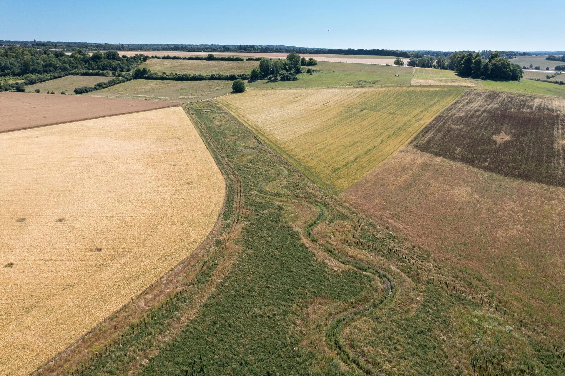 Vue aérienne de champs agricoles aux couleurs variées (jaune doré, vert clair, brun roux), traversés par un corridor de végétation sinueux sous un ciel bleu dégagé.