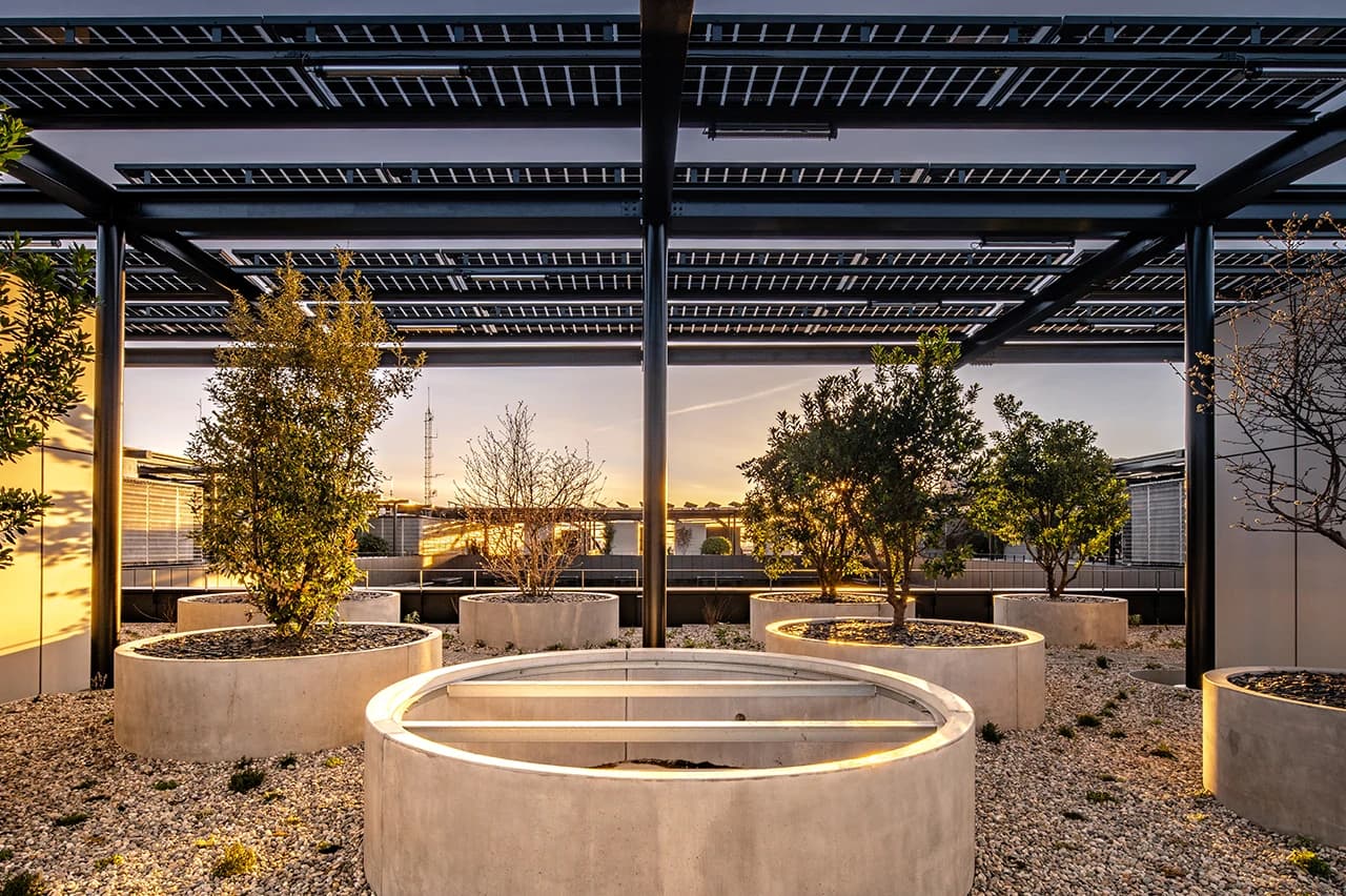 Rooftop terrace with concrete planters holding trees and a gravel floor, beneath a dark metal pergola supporting rows of solar panels. Golden hour light bathes the modern, sustainable outdoor space with a cityscape in the background.